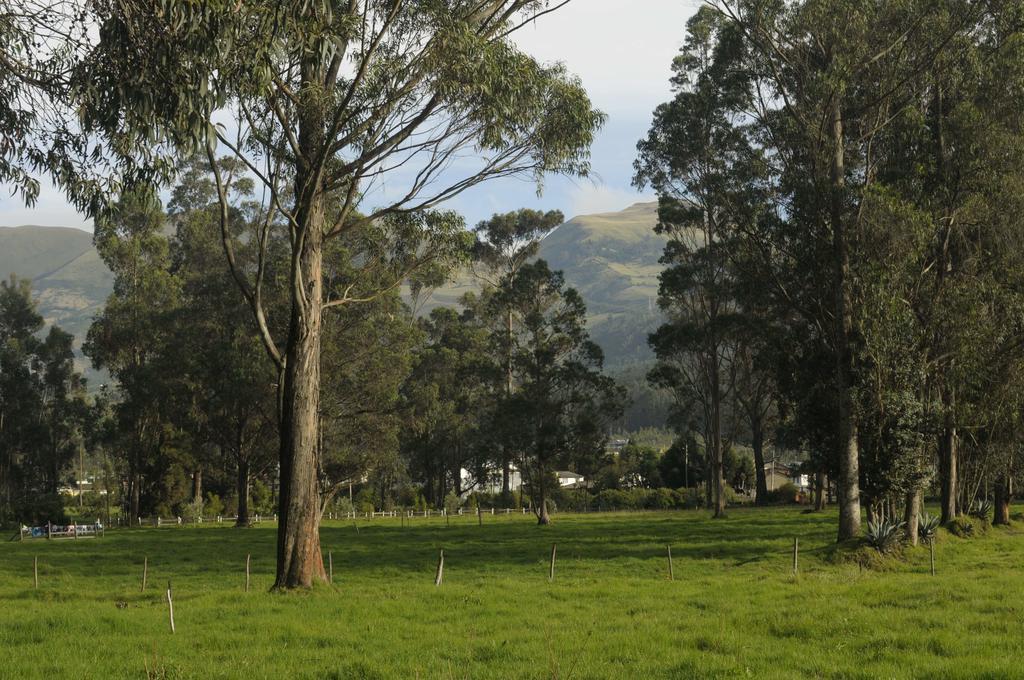 Molino San Juan Bed & Breakfast Cayambe Luaran gambar
