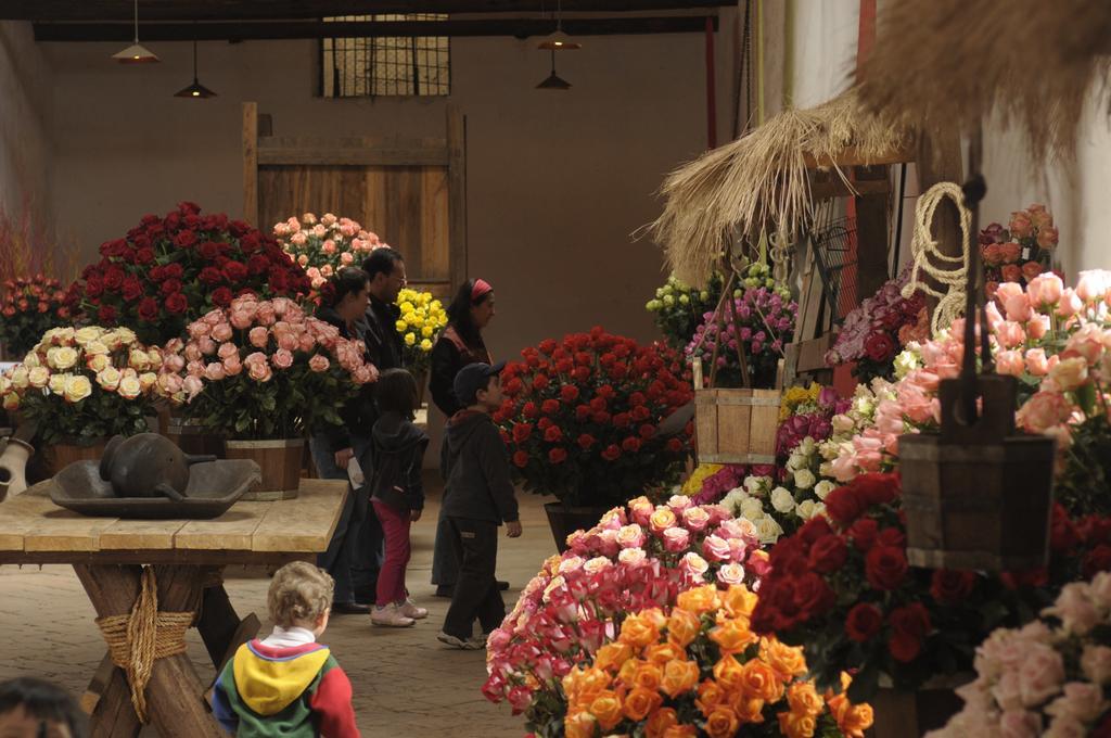 Molino San Juan Bed & Breakfast Cayambe Luaran gambar