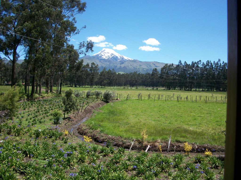 Molino San Juan Bed & Breakfast Cayambe Luaran gambar